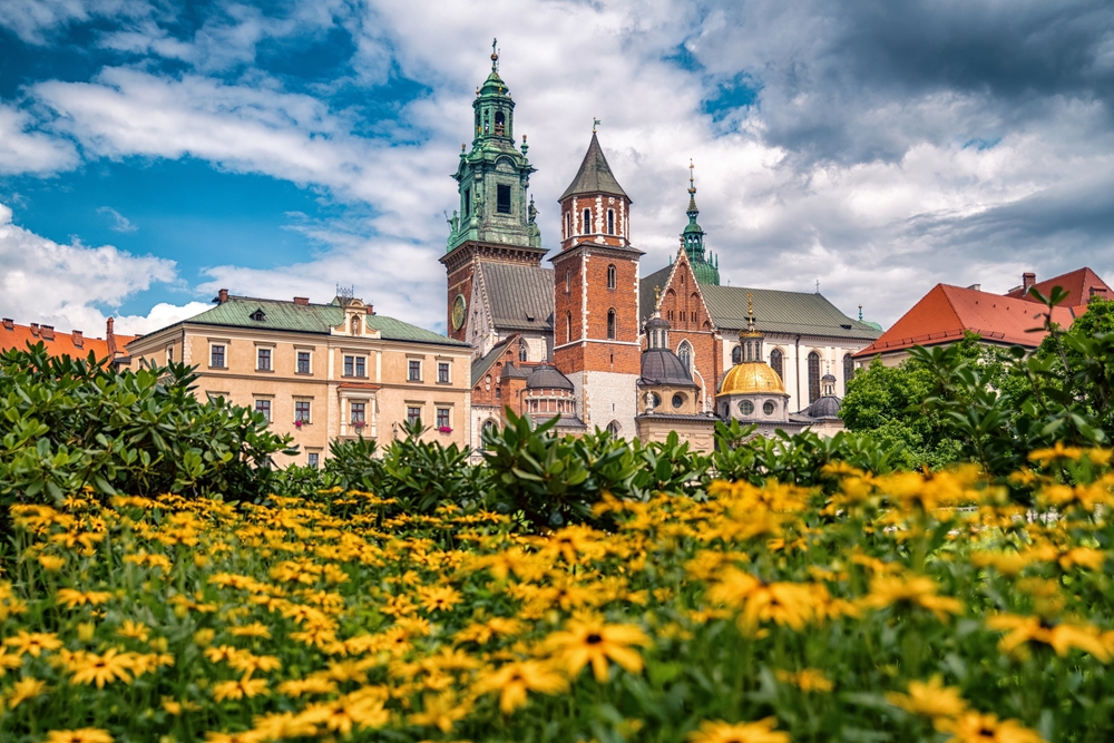 The city of Krakow with yellow flowers blooming in the foreground