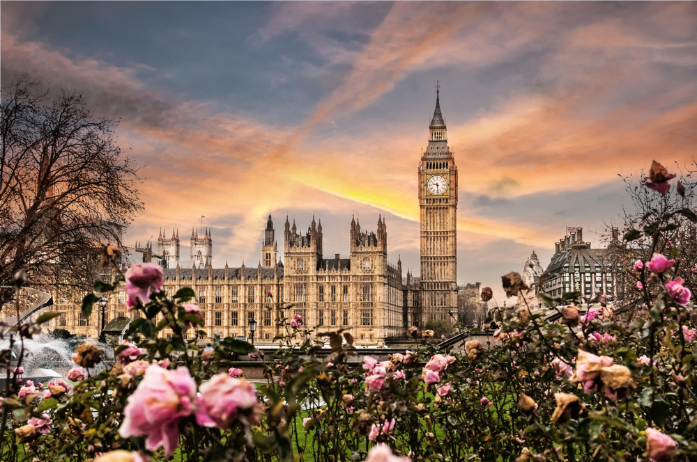 Westminster Abbey and Big Ben surrounded by pink blooms on a grey day