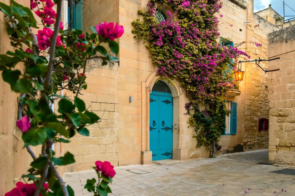 A light stone building with a bright blue door and vines with purple and pink flowers growing on it