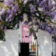 A white house with a pink door surrounded by purple wisteria vines one of the best places to visit in Europe in May