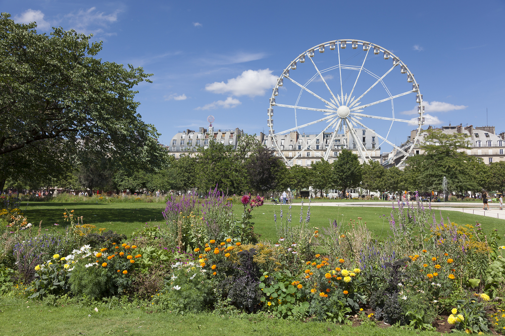 THe Tuleries Garden is my favorite park in Paris, with flowers, green areas and a ferris wheel 