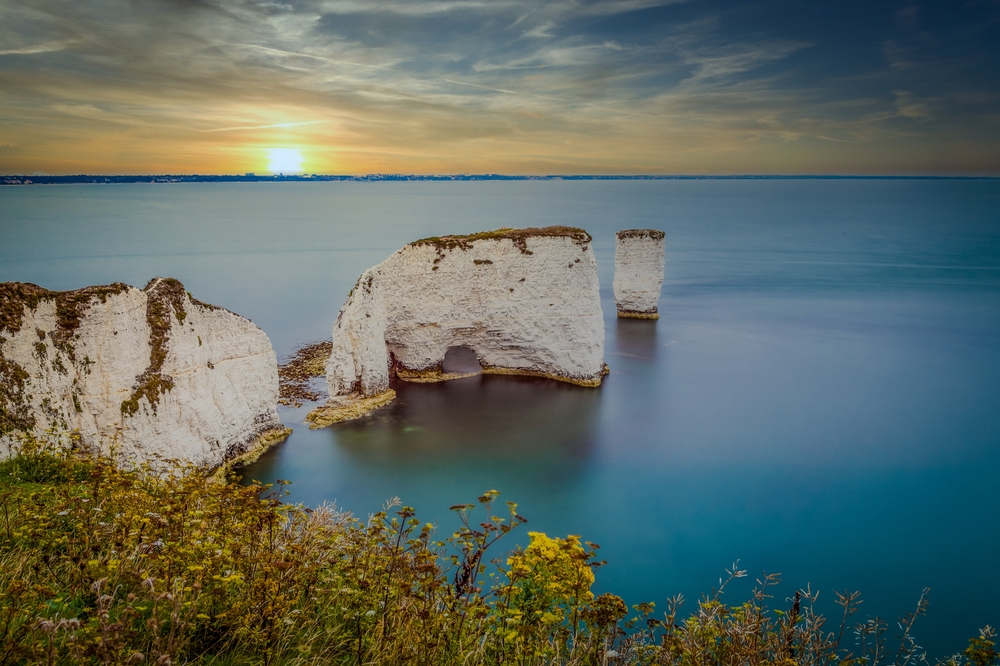 Old Harry Rocks in the sea with the sunrise. You can see three large white rocks in the sea and there are yellow flowers in the foreground. 