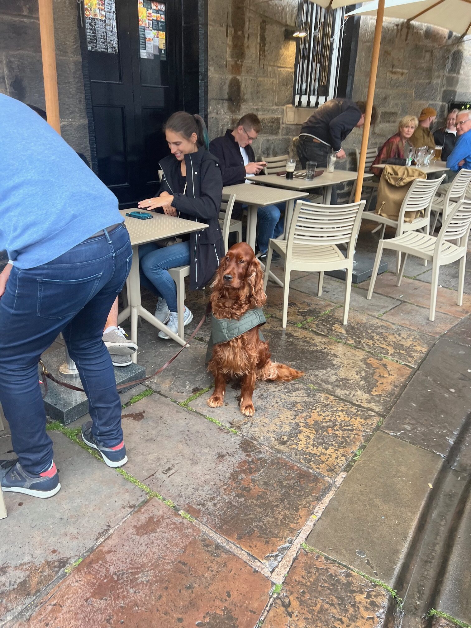 An outdoor cafe wth a majestic looking dog 
