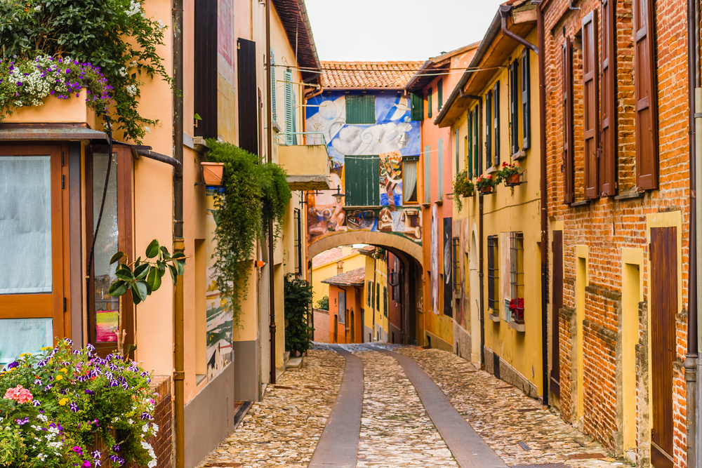 Quaint stone alleyway with flowers and plants in Dozza, Italy.