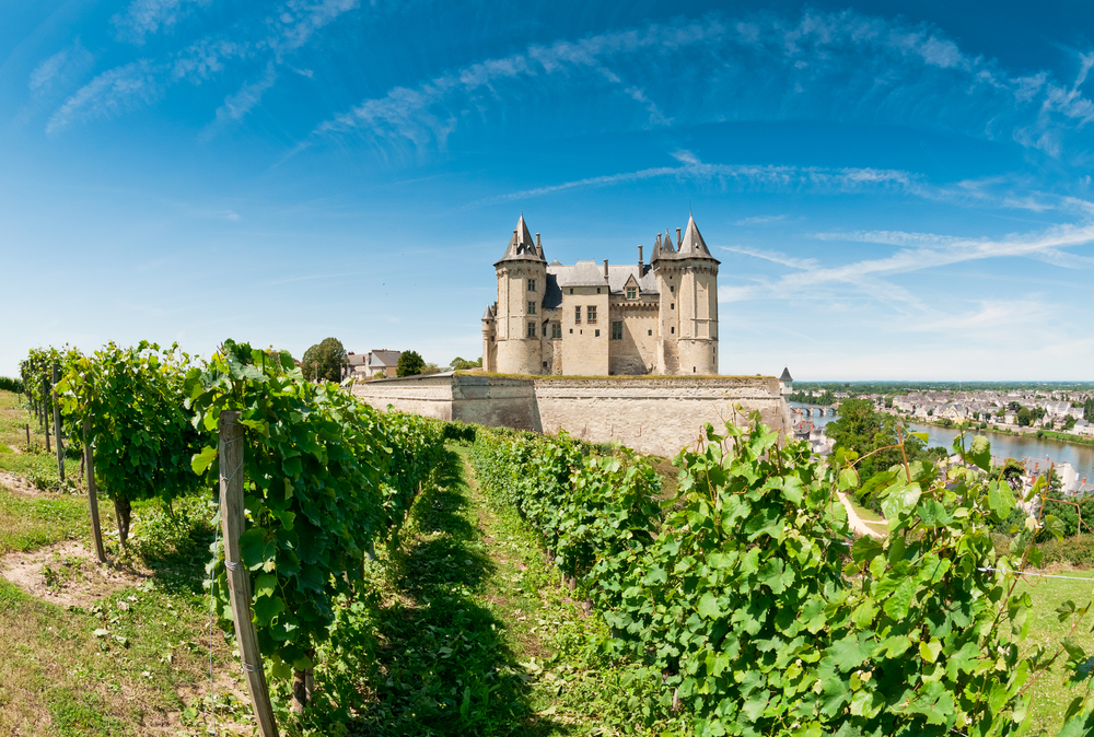 Sunny day over a vineyard with a chateau in the background.