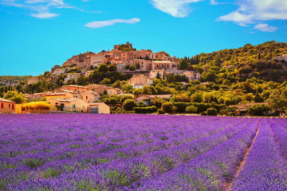 lavender fields laid out in rows in front of a hill with historic homes on it, clear day, there are trees next to the home, Provence is one of the best places to visit in Europe in July 