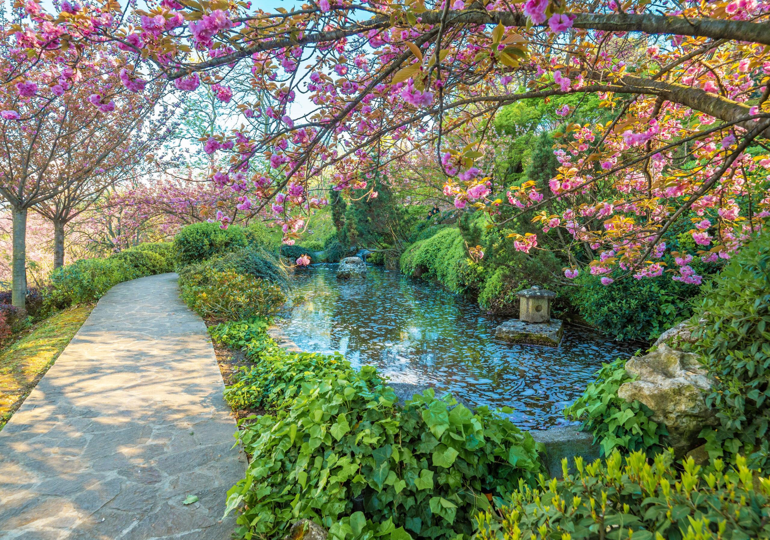 View of the Japanese Section of Rome's Orto Botanico 