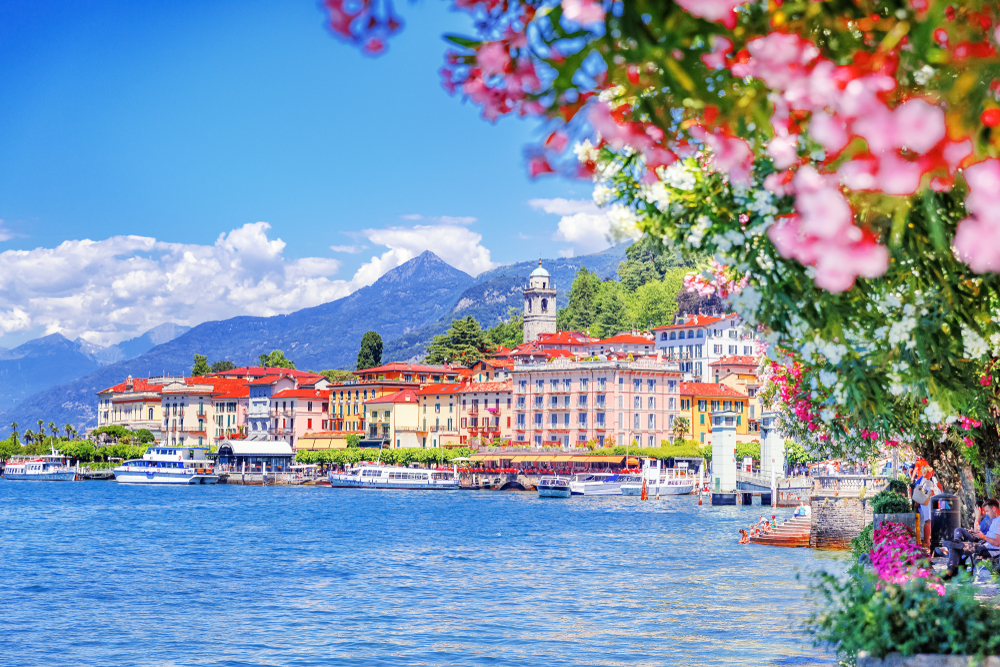 Spectacular view on coastal town - Bellagio, Lombardy. You can see Lake Como through flowers with buildings in the background.  