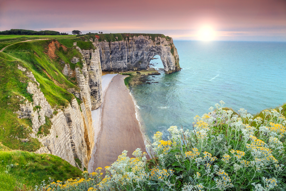 Amazing cliffs Aval of Etretat and beautiful famous coastline. It is sunset and there are flowers in the foreground. 