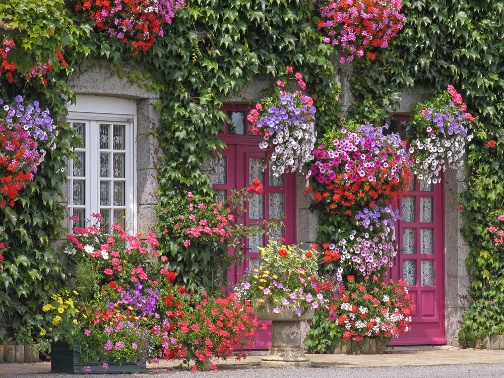 House with flowers, Brittany, Northern France