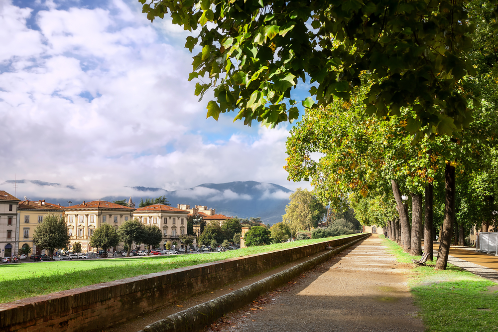 Walking path in park on medieval city wall in Lucca, . You can see the wall with mountains in the background and houses at the side. 