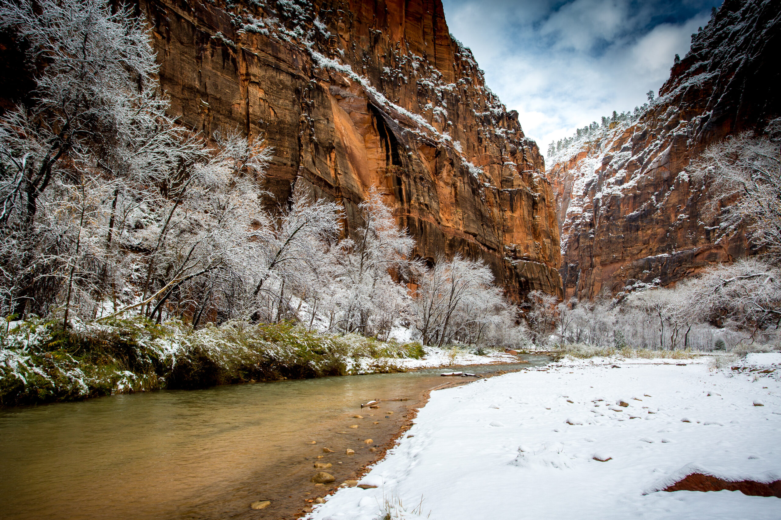 A snow dusted stream bank contrasting the red rocks of Zion in January 