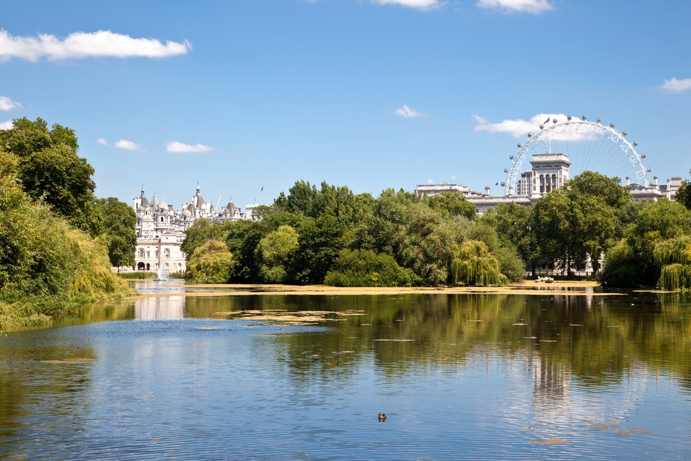 a View of st. James park, where you can see the pond, the London Eye, and other buildings from the Park