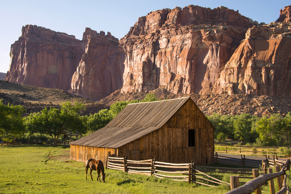 Historic wooden barn with a fence a single horse with towering rocks in the distance.