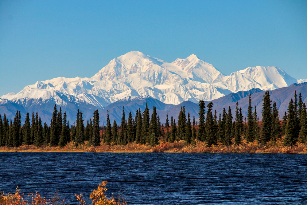 Snow-capped Denali in the distance with a lake and pine trees in the foreground.