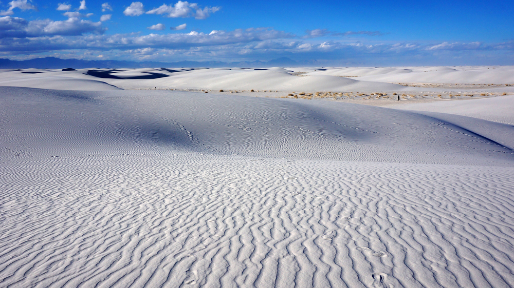 An expanse of rolling white sand dunes in White Sands National Park.