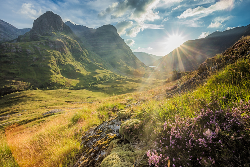 sun peaking out behind hills in the Scottish highlands on a partly cloudy day, wild flowers are in the foreground 