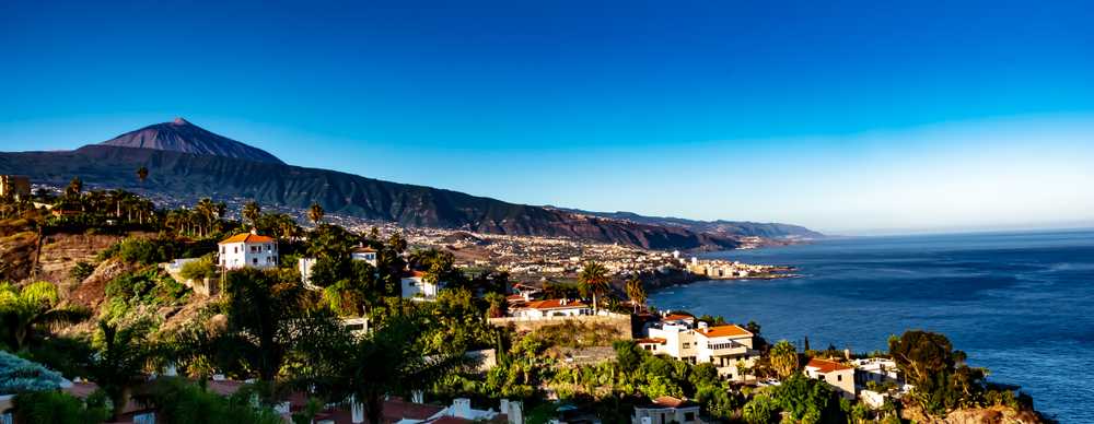 a mountain in the background, coastline to the right, a city can be seen with palm trees in between buildings