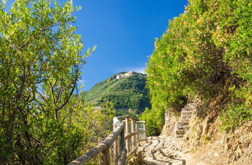 Pedestrian hiking stone path trail with railing between Corniglia and Vernazza villages with green trees, blue sky background, National park Cinque Terre