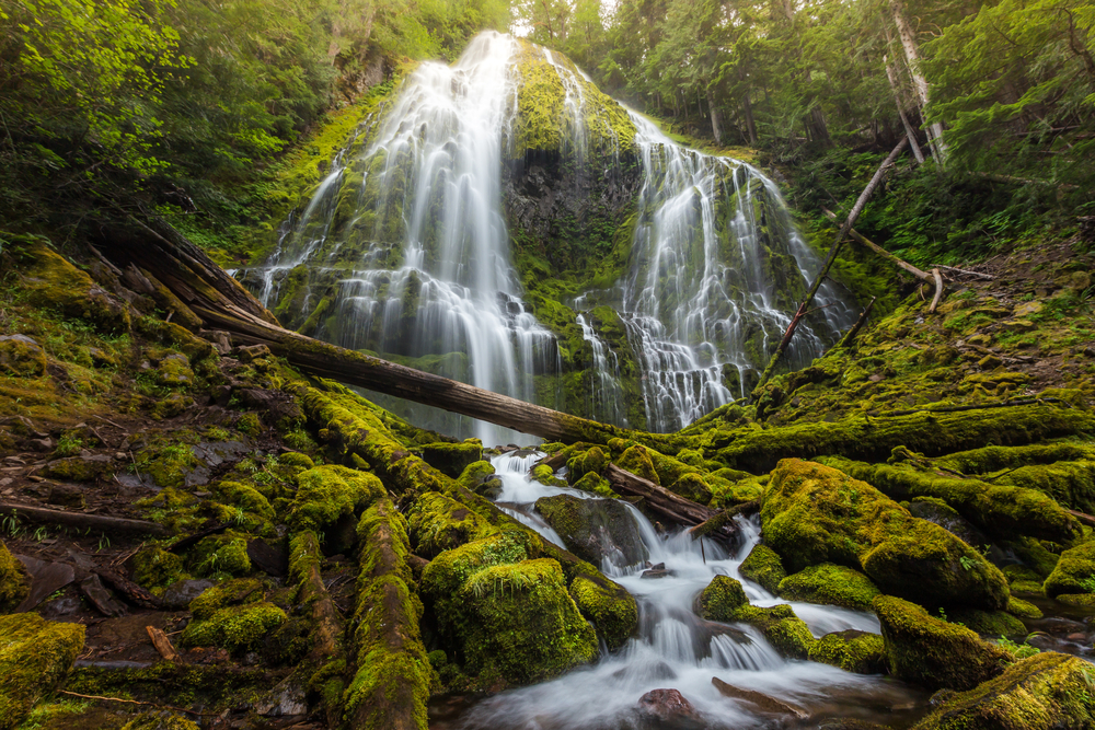 Beautiful Proxy Falls with multiple streams cascading down among mossy rocks and logs in a forest.