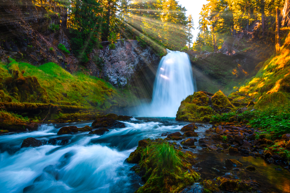 Gushing Sahalie Falls in a green canyon with sun rays shining through trees.