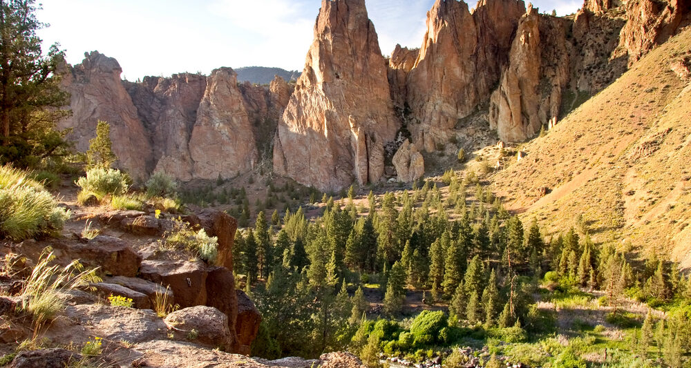 Sunny day over Smith Rock State Park with rugged rocks and a forest below.
