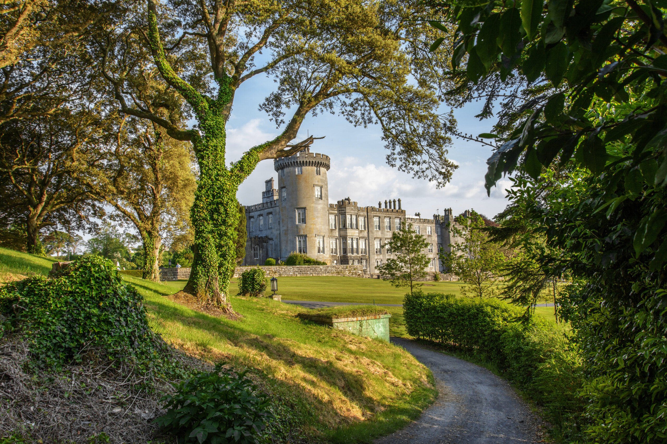 View up the drive surrounded by old growth trees to a beautiful Irish castle with a large turret and many chimneys. 