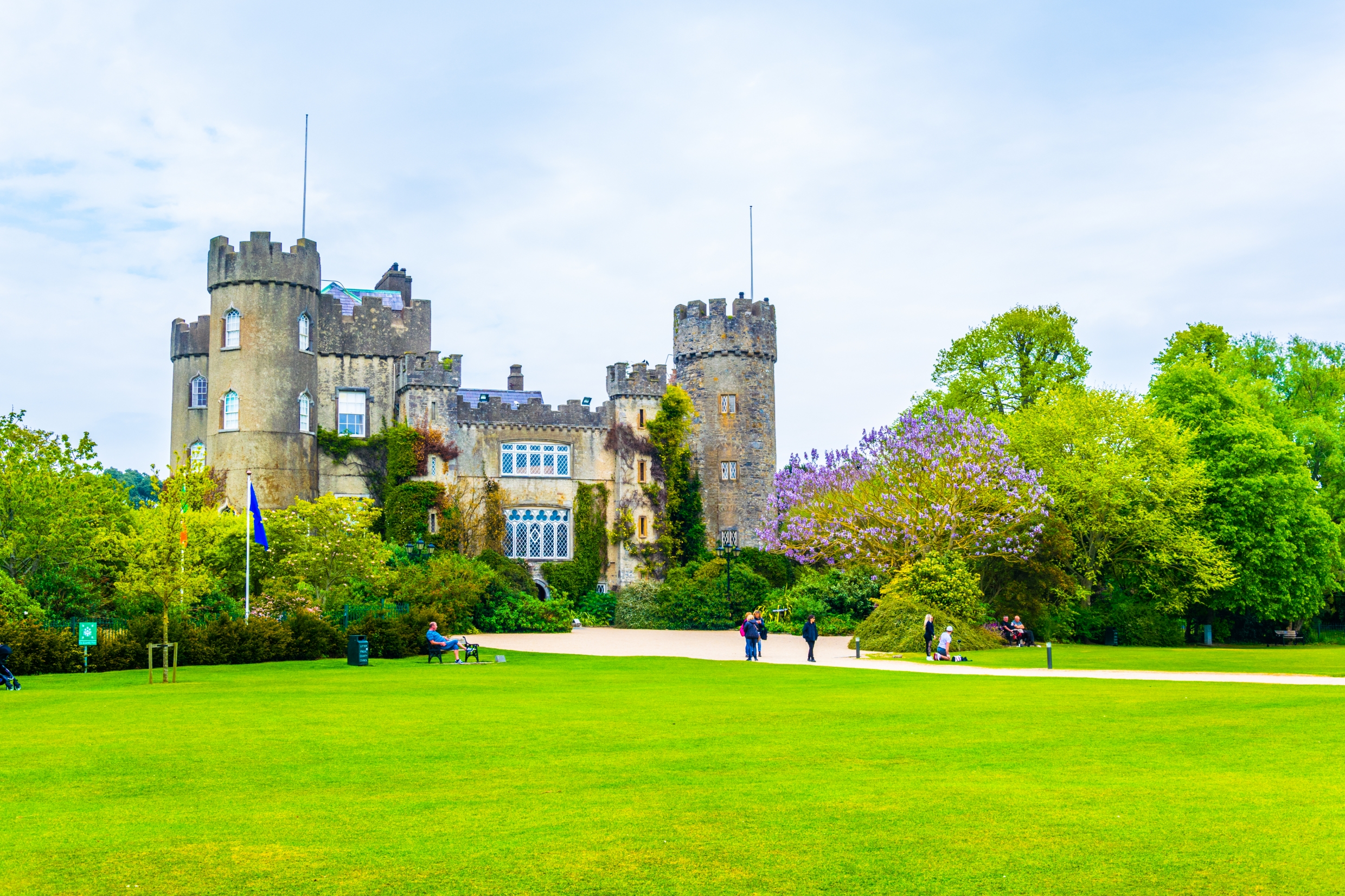 View of the famous Malahide castle with purple flowers blooming around it. 