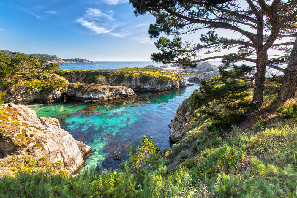 Sunny day at Point Lobos State Natural Reserve overlooking bright blue water and grassy rocks on a West Coast road trip.