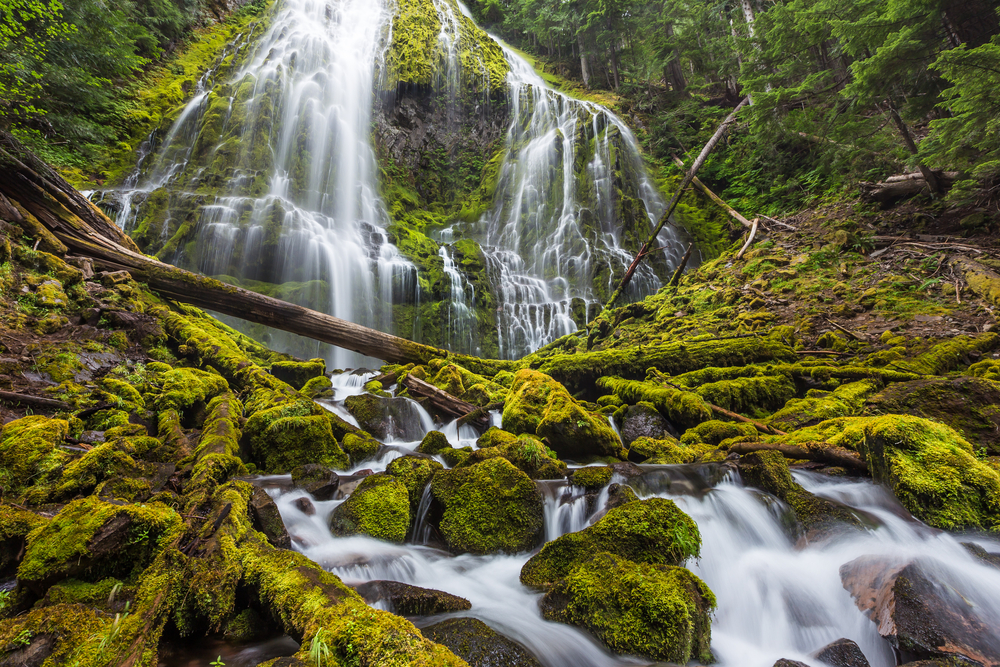 Proxy Falls in Oregon flowing over mossy rocks and logs in multiple streams.