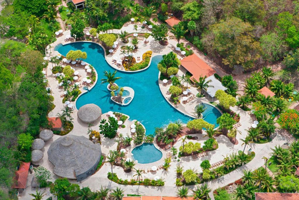Aerial view of a resort pool surrounded by trees. The pool is an irregular shape. 