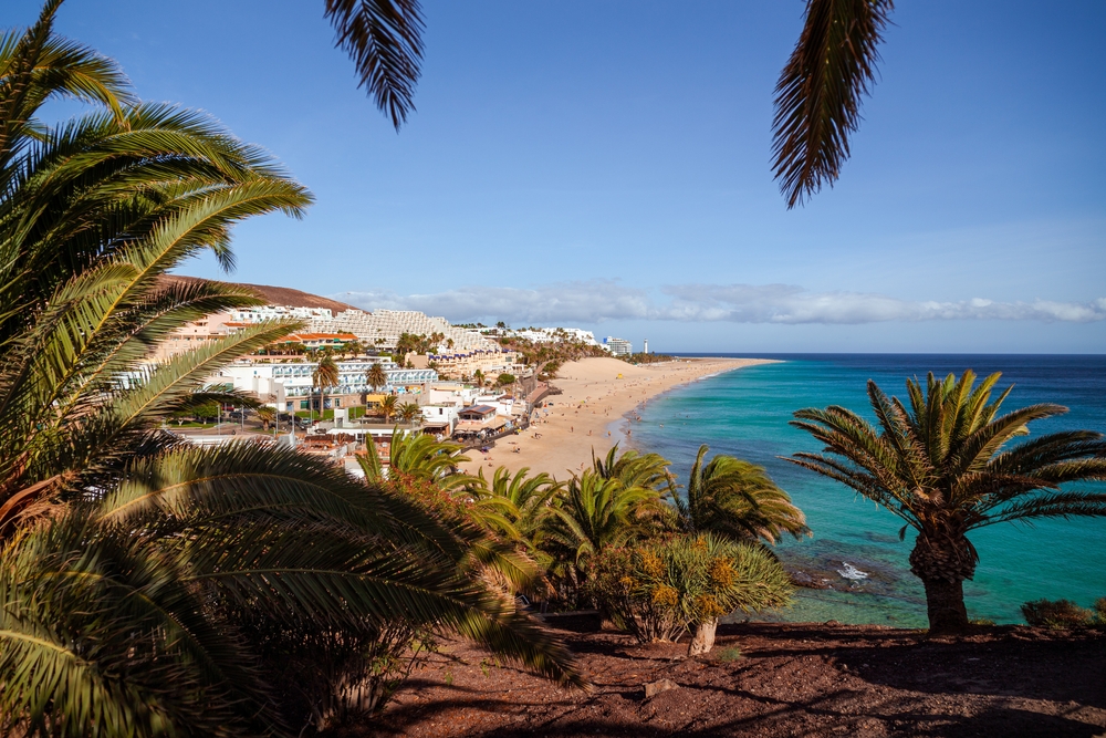 Beautiful view of Morro Jable Beach (Playa Morro Jable) - Fuerteventura, Canary Islands - Spain. You can see palm trees in the background and the beach in the background. 
