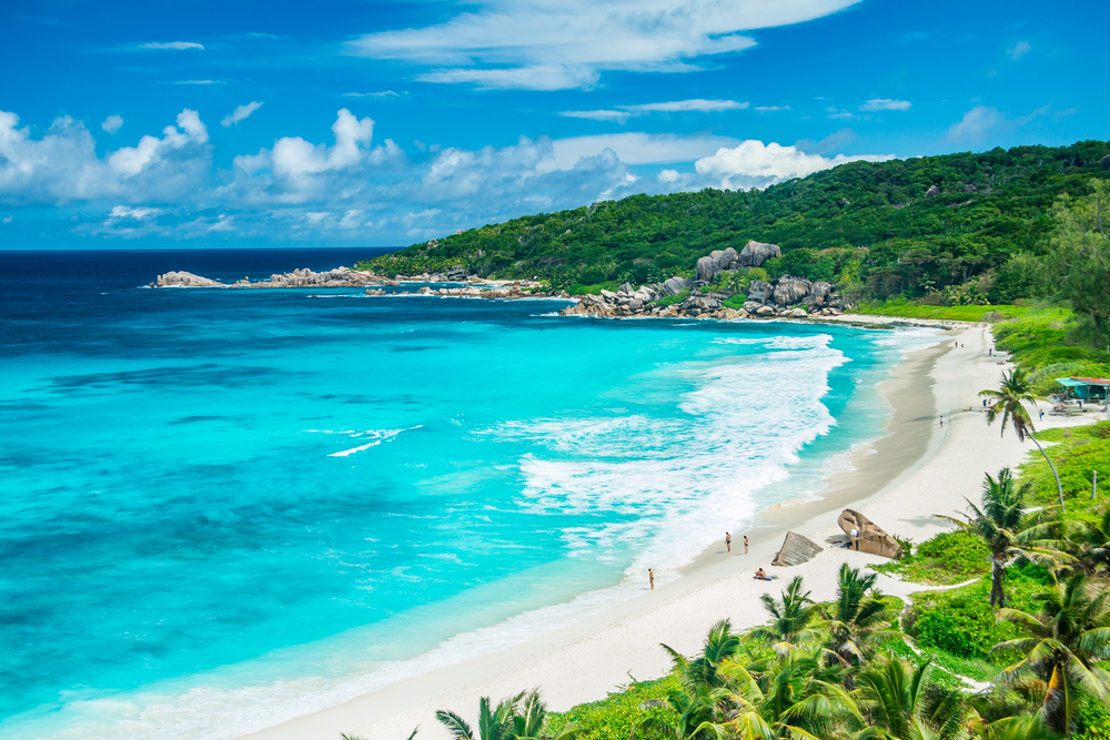 Grand Anse Beach has a strip of white sand, surrounded by palm trees and turquoise waves crashing on the beach. 