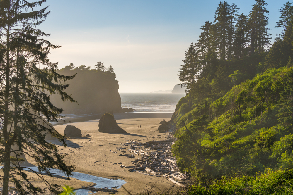 View looking down to Ruby Beach showing the haze of the marine layer, rock formations, drift wood, and green coastline before the sand. 