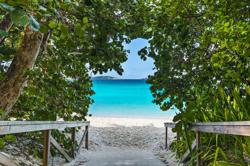 Pathway down to the white sand and crystal blue water at Trunk Bay beach. The pathway is arched over with green plants. 