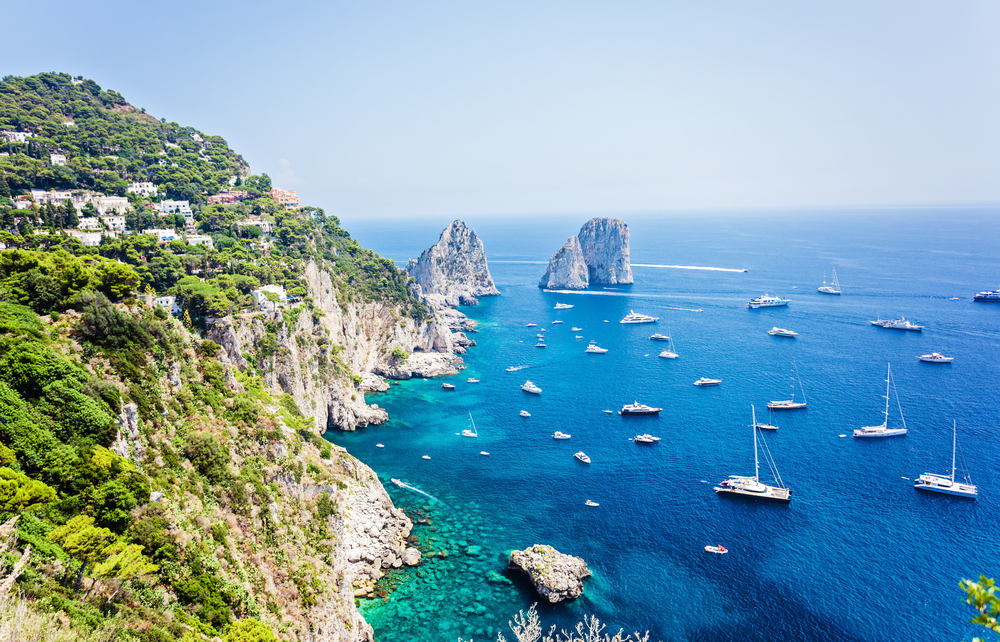 aerial photo of many boats docked in the ocean, there is land on the left with buildings and trees on it, sky is clear