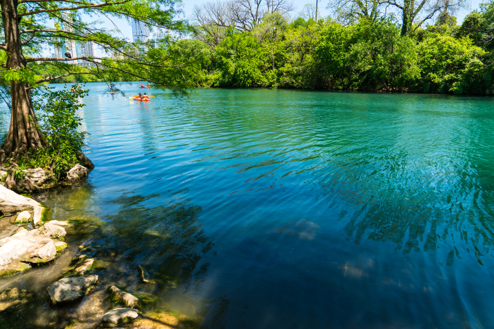 Springs are a huge part of the clearest water in the USA: kayakers travel down the blue water in Barton Springs, which is lined by natural, green bushes and trees.