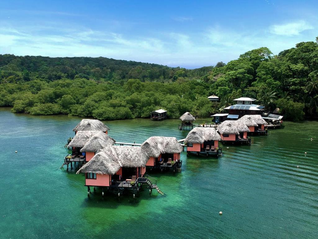 Pink overwater bungalows near Florida out in the sea. They have a thatched roof and they are in clusters. You can see trees in the background. 