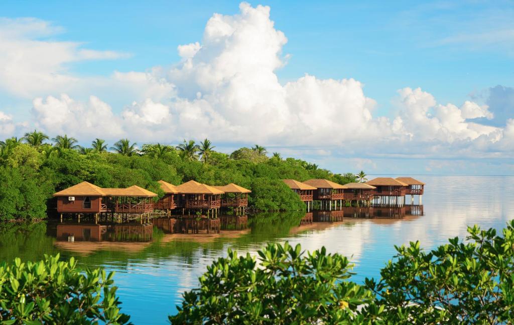 Several water bungalows over the water with large decks. They are wood and you can see trees. 