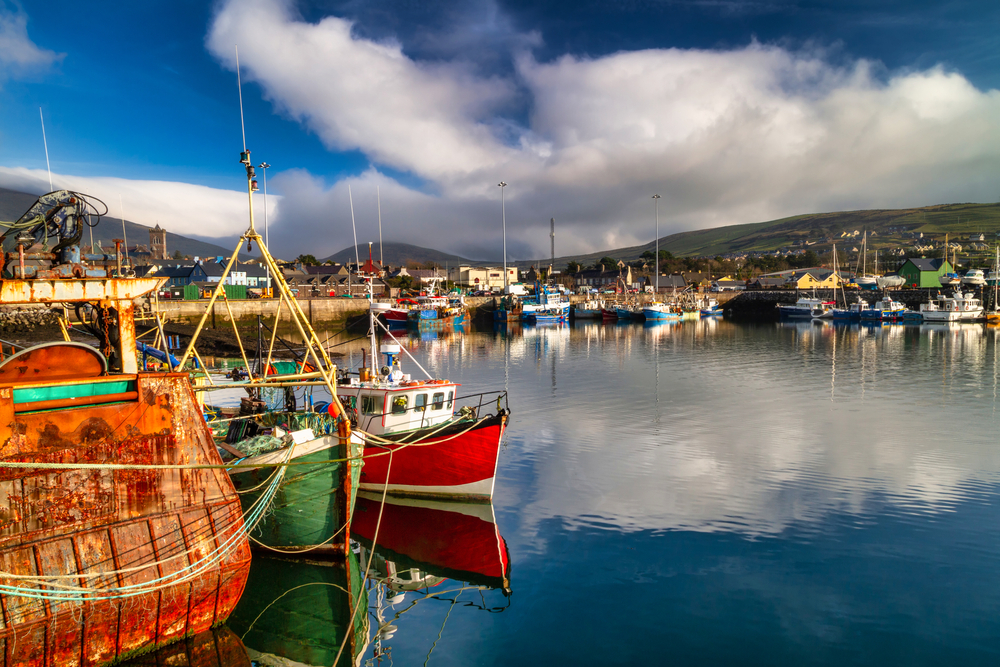 Colorful, wooden boats docked in the Dingle harbor.