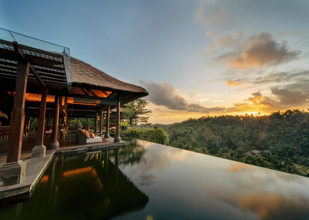 Incredible forest view from an elevated pool surrounded by a veranda. 