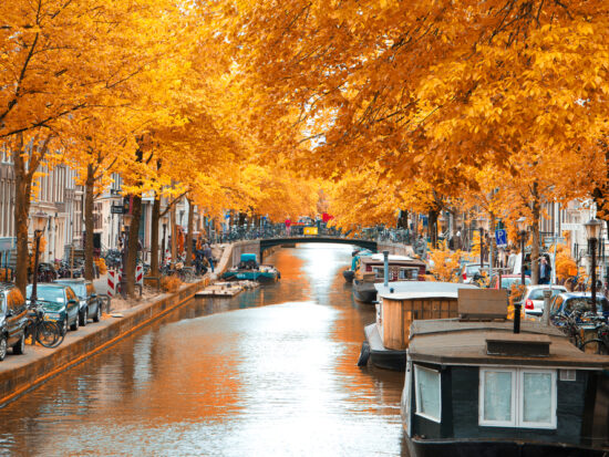 fall foliage and autumn leaves over Amsterdam