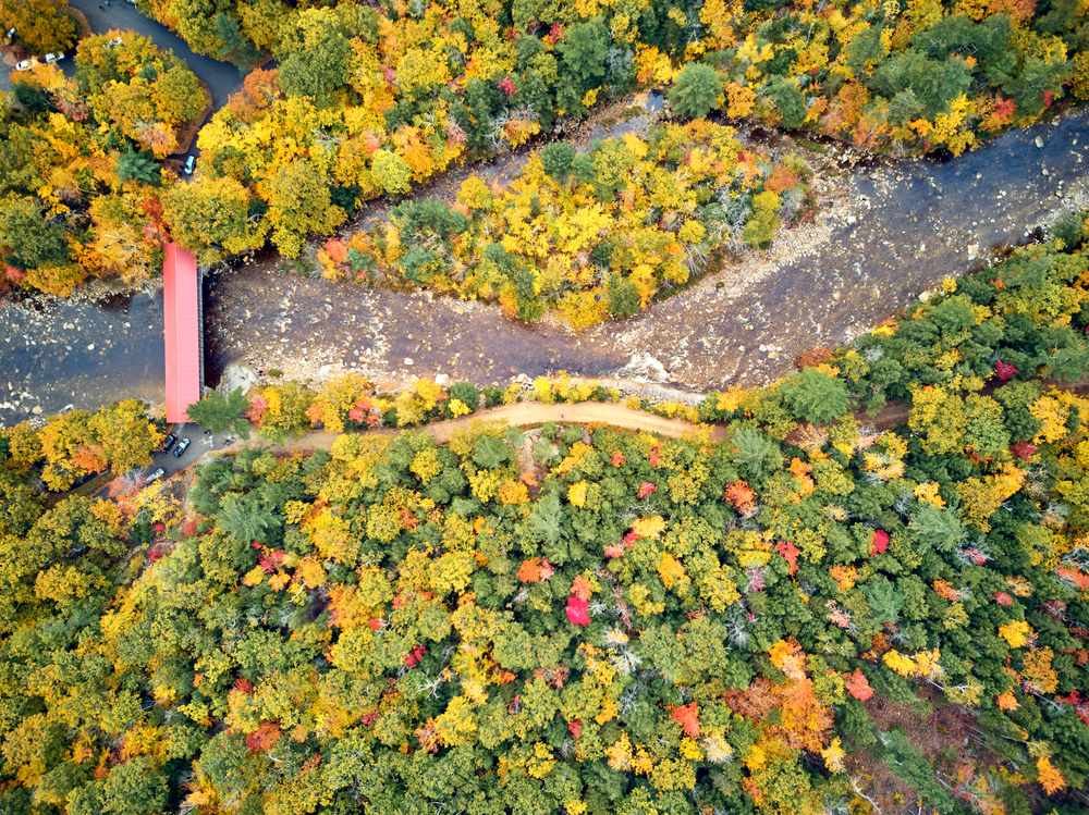 An overhead drone shot shows the running river below a red covered bridge, and the changing leaves around them.