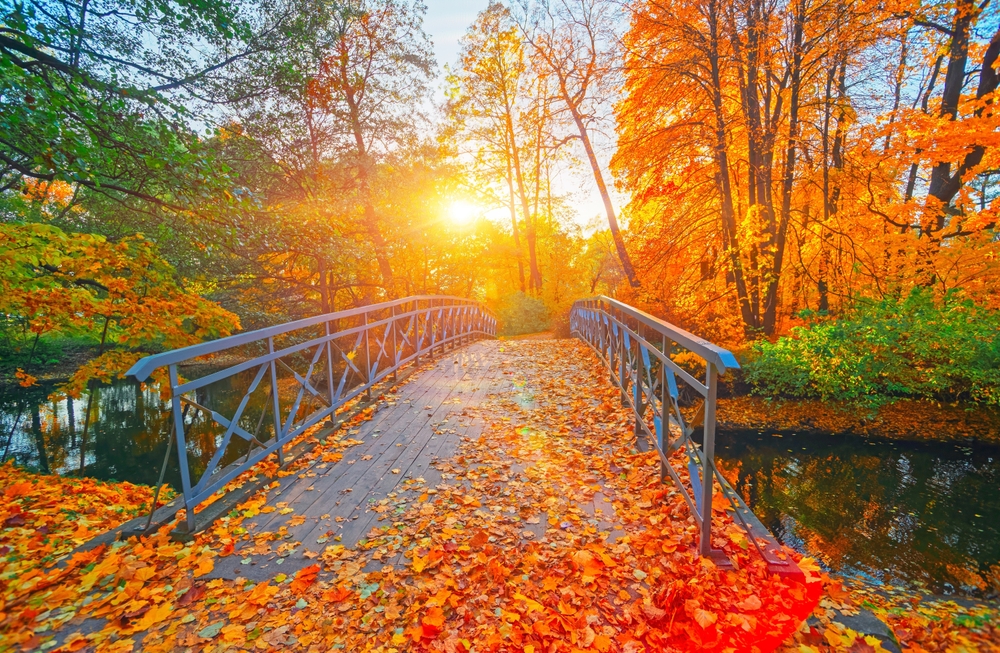 A bridge at golden hour shows the fall of orange and yellow leaves: the water below is dark and glassy.