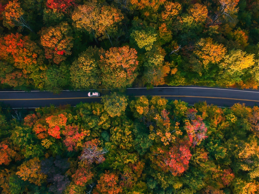 A car drives through a winding road, and from overhead, the fall foliage turns colors: driving through and not exploring is one of those mistakes to avoid on a fall foliage trip.