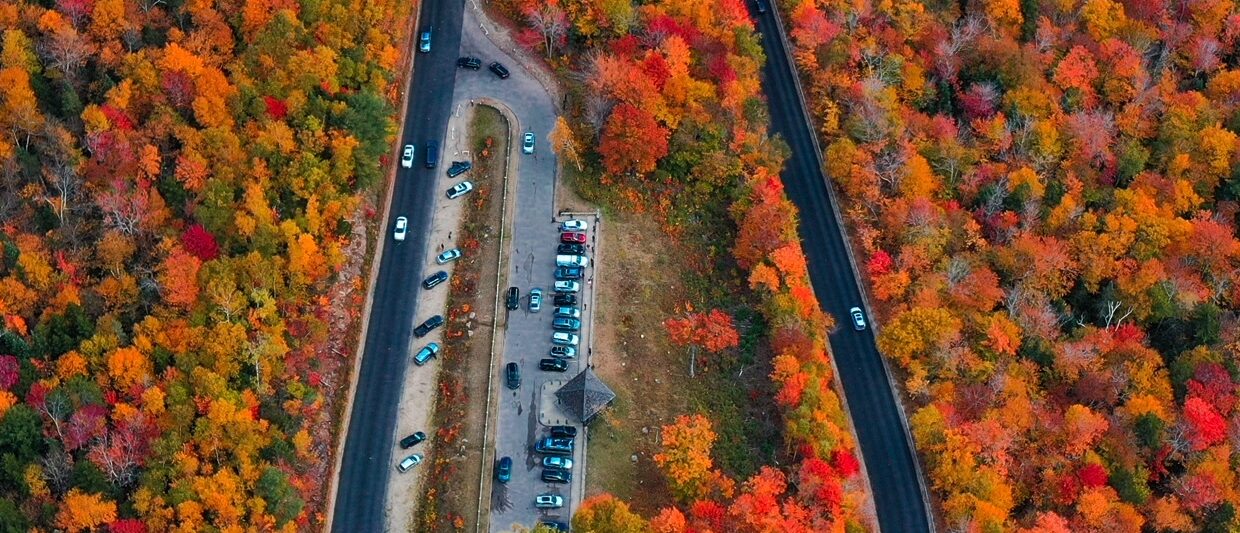 a road in the shape of a U going through trees that are red and orange with a parking lot in the middle of the U