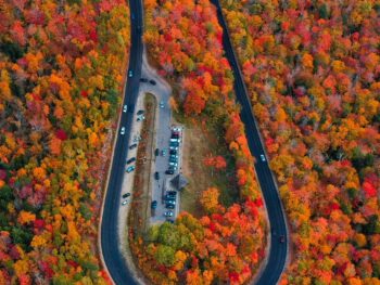 a road in the shape of a U going through trees that are red and orange with a parking lot in the middle of the U