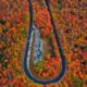 a road in the shape of a U going through trees that are red and orange with a parking lot in the middle of the U