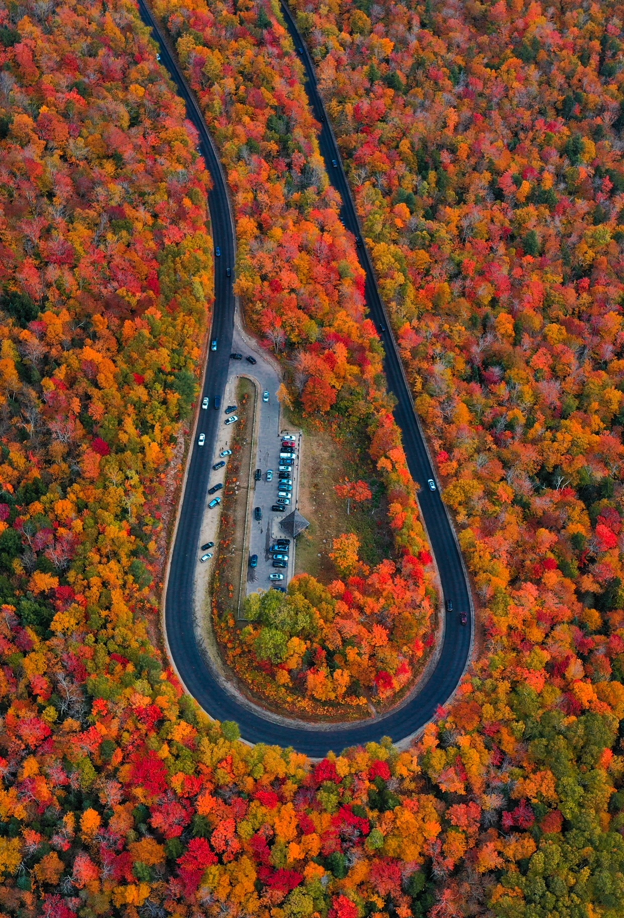 A road loops around the fall foliage as the leaves change colors, and not booking in advance is one of those mistakes to avoid on a fall foliage trip that can stop you from seeing this!