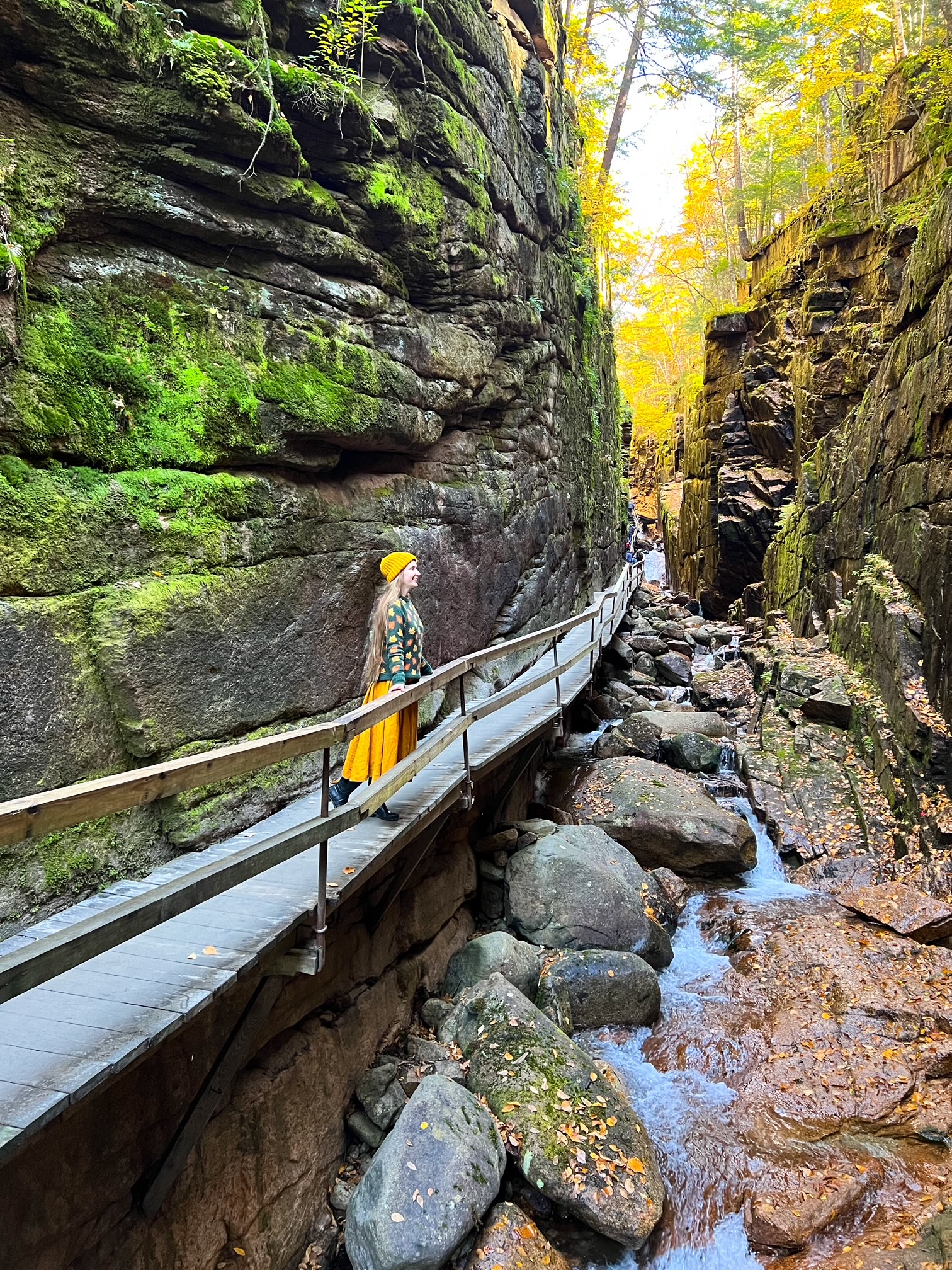 In a gouge of terrain, a woman in a yellow meaning stands and looks at the leaves and rocks while exploring.